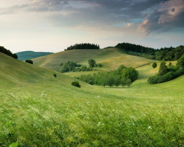 services-01 Services 01